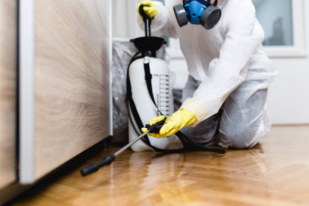 Best Pest Inspection Near Me  in Toona, AL