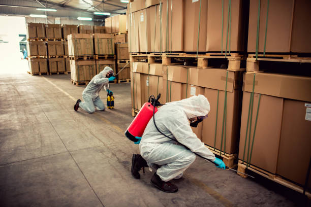 Best Residential Pest Control  in Toona, AL