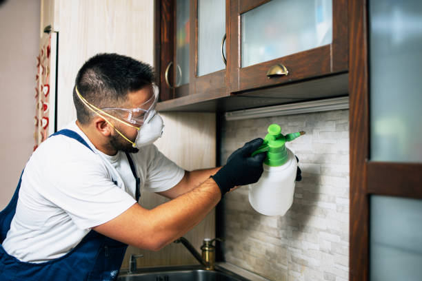 Best Flea Control Services  in Toona, AL