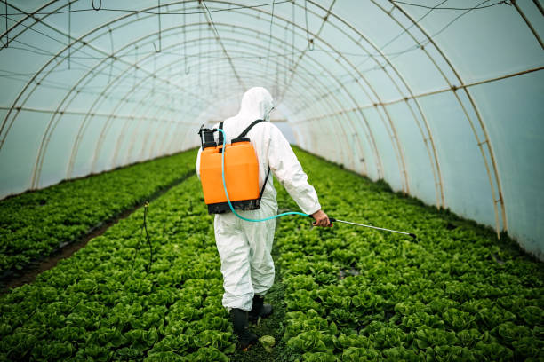 Professional Pest Control in Altoona, AL