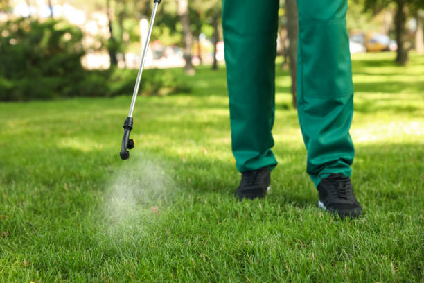 Best Cockroach Control Services  in Toona, AL