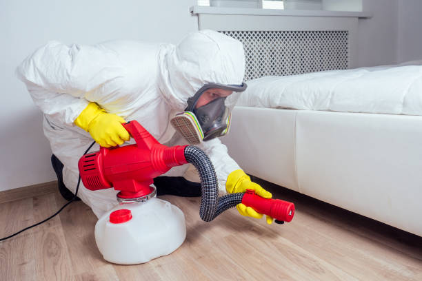 Best Local Pest Control Services  in Toona, AL
