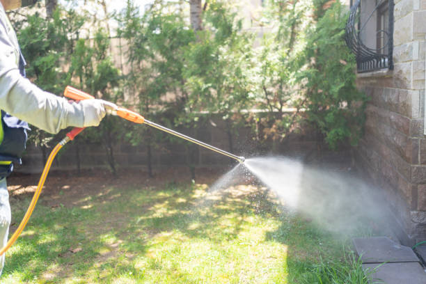 Best Wildlife Control Services  in Toona, AL
