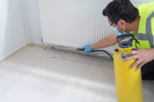 Best Pest Inspection Near Me  in Toona, AL